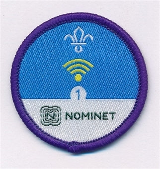 Digital Citizen Activity Badge Stage 1, NOMINET