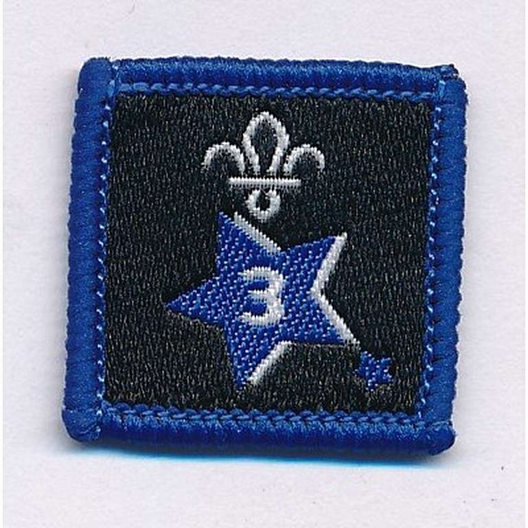 Participation or Joining in Badge, Star. 3 Year