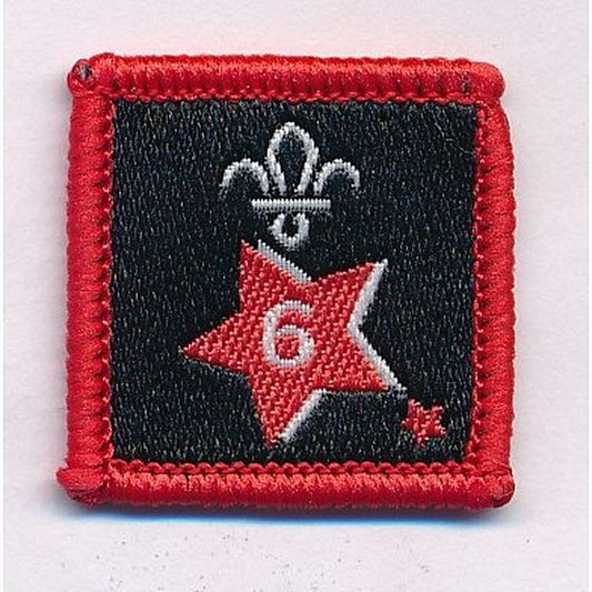 Participation or Joining in Badge, Star. 6 Year