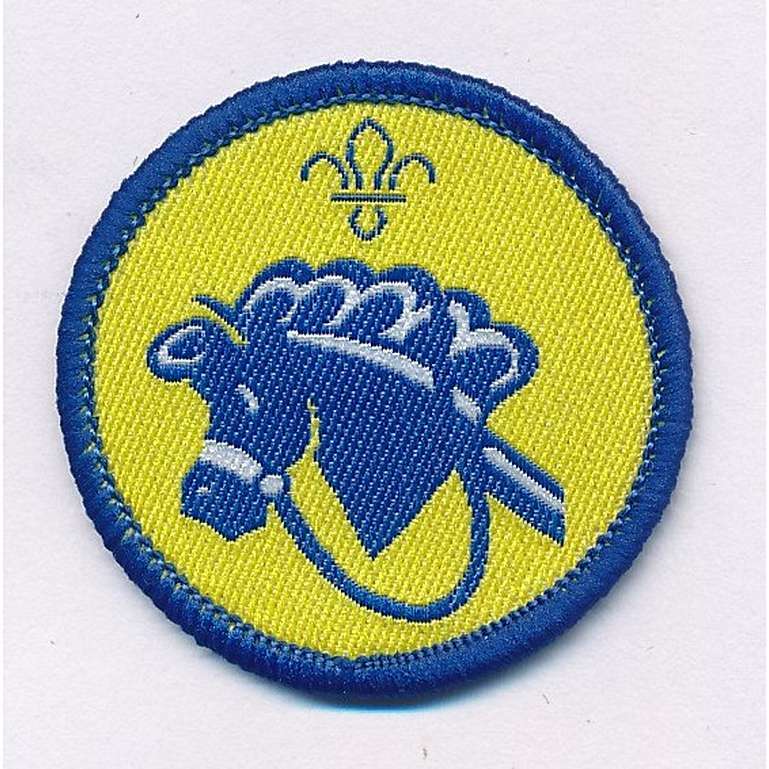 Beaver Scout Hobbies Activity Badge