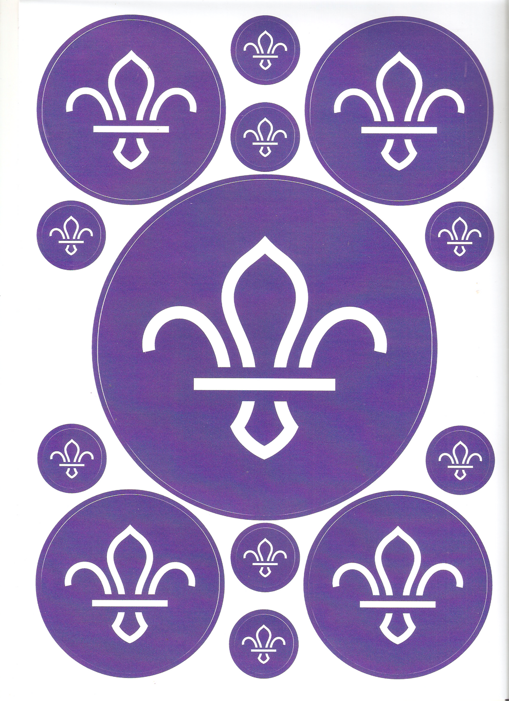 Sticker Sheet, A4, FDL Logo – Badges & Things | Coventry Scout Shop