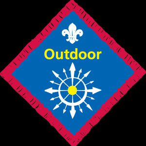 Scout Outdoor Challenge Award Badge (Discontinued), OLD FDL