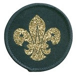 Air Scout Beret Badge, cloth