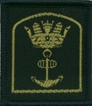 Sea Scout RN Recognition Badge