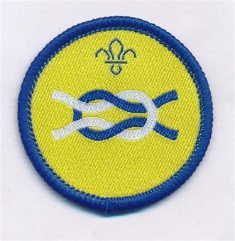 Beaver Scout Camp Craft Activity Badge