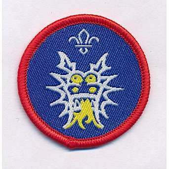 Scout Dragon Boat Activity Badge