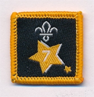 Participation or Joining in Badge, Star. 7 Year