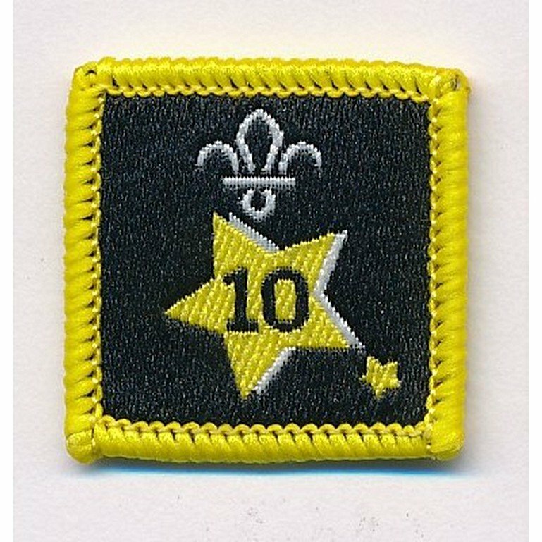 Participation or Joining in Badge, Star. 10 Year