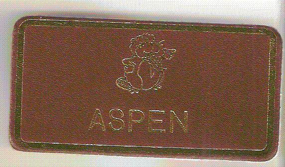 Aspen, Beaver Leaders Leather Name Badge, Tan