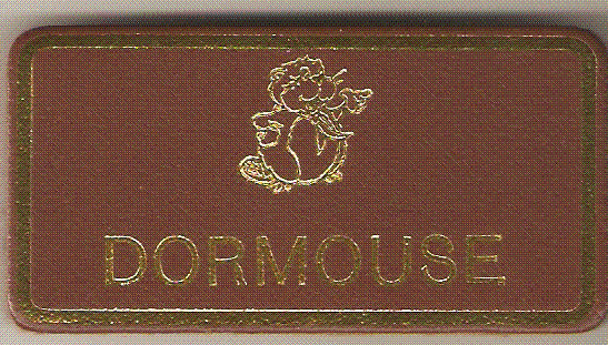 Dormouse, Beaver Leaders Leather Name Badge, Tan