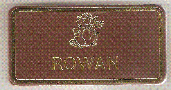 Rowan, Beaver Leaders Leather Name Badge, Tan