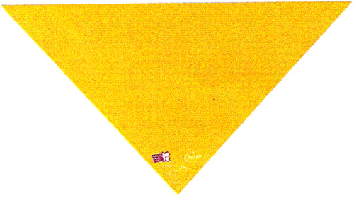 Olympic Neckerchief, Youths Size