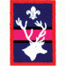 Patrol Badge Stag OLD FDL