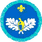 Explorer Scout Naturalist Activity Badge OLD FDL