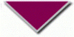 44th Coventry Youth Size Scarves, pack of 10 (delivery about 2 weeks) Maroon with a 1" Grey Border.