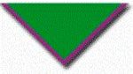 90th Coventry Youth Size Scarves, pack of 10 (delivery about 2 weeks) Scout Green with a 1' Purple Border.