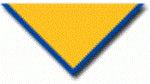 10th Coventry Adult Size Scarves, pack of 2 (delivery about 2 weeks) Gold with a 1" Royal Blue Border.