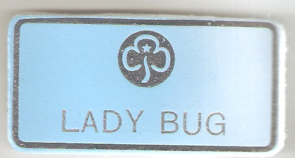 Lady Bug,  Guiders Leather Name Badge, Sky Blue