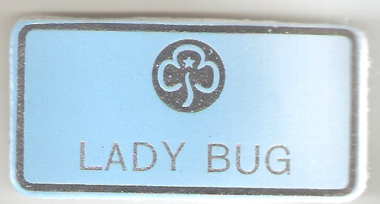 Lady Bug,  Guiders Leather Name Badge, Sky Blue