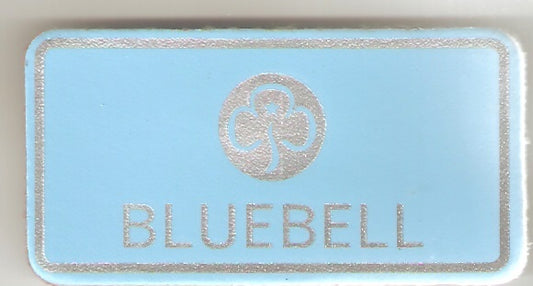 Bluebell,  Guiders Leather Name Badge, Sky Blue