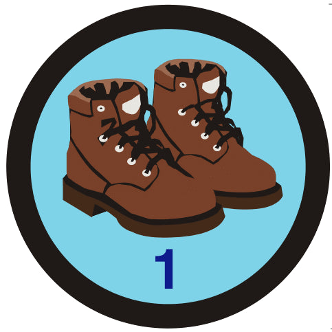 Sponsored Walk (Big Walk) Badge, 1 event