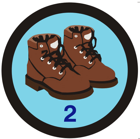 Sponsored Walk (Big Walk) Badge, 2 events