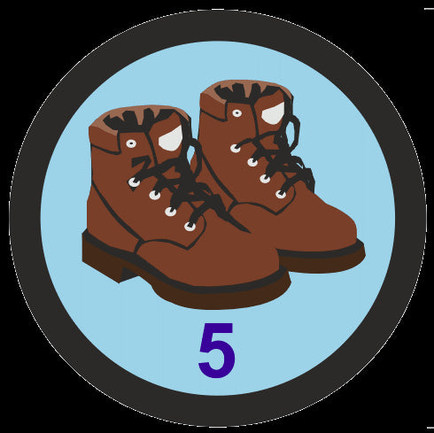 Sponsored Walk (Big Walk) Badge, 5 events