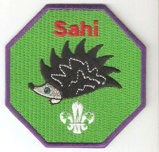 Sahi Fun Badge