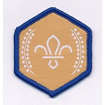 Beaver Chief Scouts Bronze Award Cloth Badge