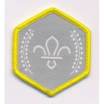 Cub Chief Scouts Silver Award Cloth Badge