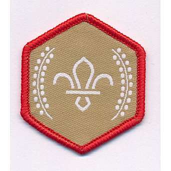 Scout Chief Scouts Gold Award Cloth Badge