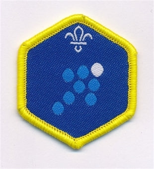 Cub Scout Team Leader Challenge Award Badge