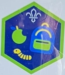 Squirrel Scout All Adventure Challenge Badge