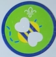 Squirrel Scout Go Wild Activity Badge