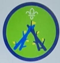 Squirrel Scout Brilliant Builder Activity Badge