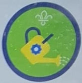 Squirrels - Activity Badges – Badges & Things | Coventry Scout Shop