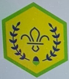 Squirrel Scout Chief Scout Acorn Award Badge