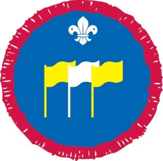 Scout International  Activity Badge OLD FDL