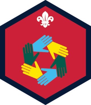 Beaver Scout My Teamwork Challenge Award Badge OLD FDL