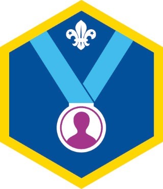 Cub Scout Personal Challenge Award Badge OLD FDL