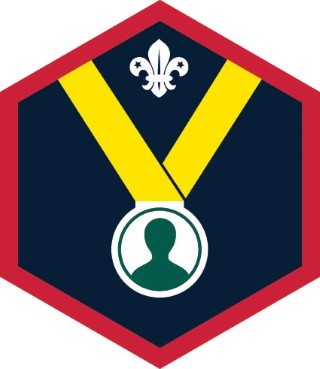 Scout Personal Challenge Award Badge OLD FDL