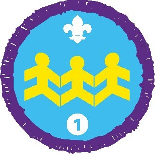 Community Impact Activity Badge Stage 1, Not sponsored OLD FDL