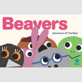 Beavers Adventure all the Way Book