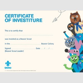 Beaver Scout Investiture Certificates, (Pack of 10)