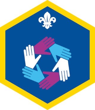 Cub Scout Teamwork Challenge Award Badge OLD FDL