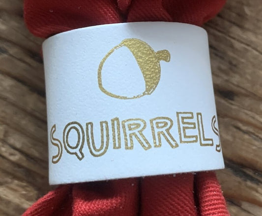 Squirrels Small woggle