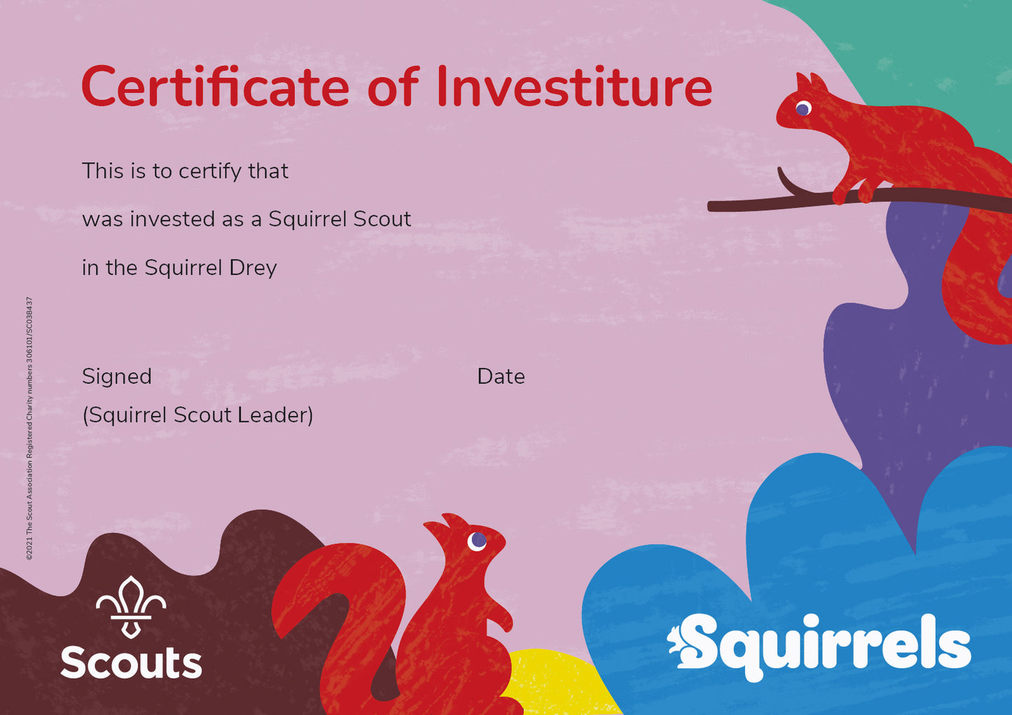 Squirrels Certificate of Investiture, A4, pack of 10