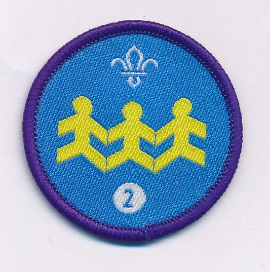 Community Impact Activity Badge Stage 2