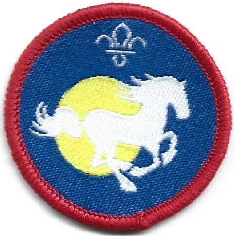 Scout Equestrian Activity Badge