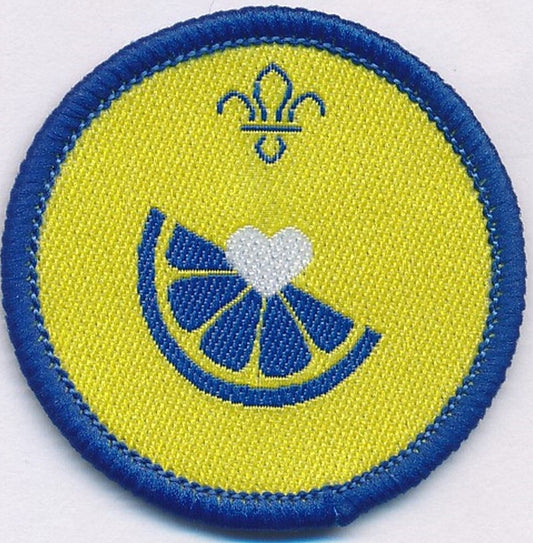 Beaver Scout Health and Fitness Activity Badge Not sponsored